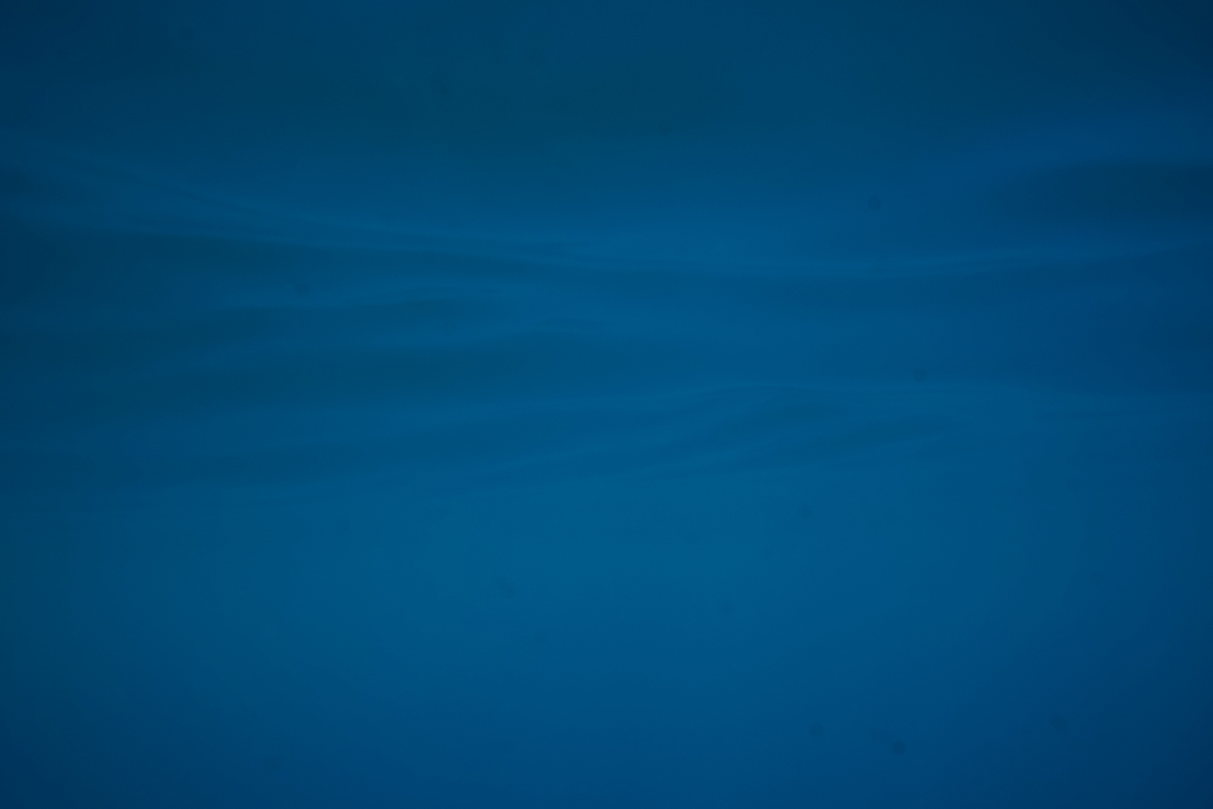 sea texture